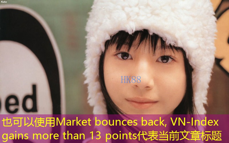 Market bounces back, VN-Index gains more than 13 points